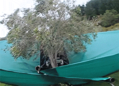 GIF of an actual tree shaker